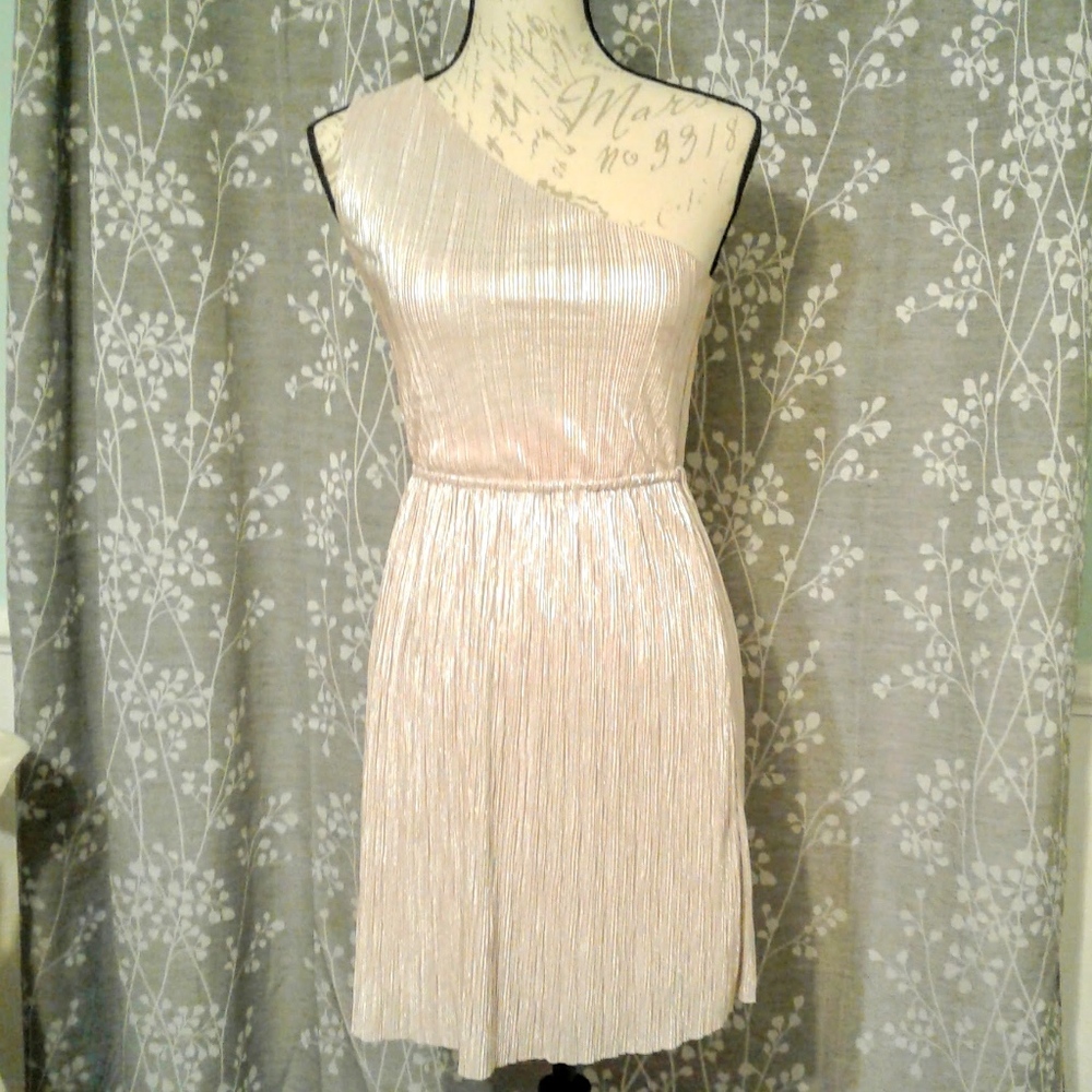 Shiny Express Dress